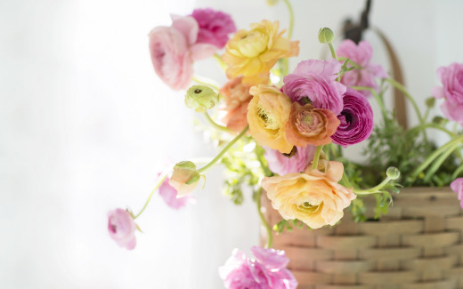959628 (a): :2560x1600